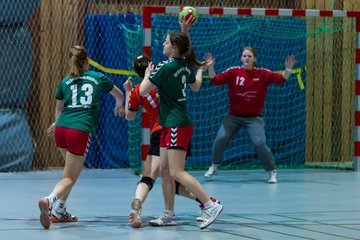 Bild 253 - A-Juniorinnen HSG Kremperheide/M�nsterdorf - HSG SZOWW : Ergebnis: 18:23
